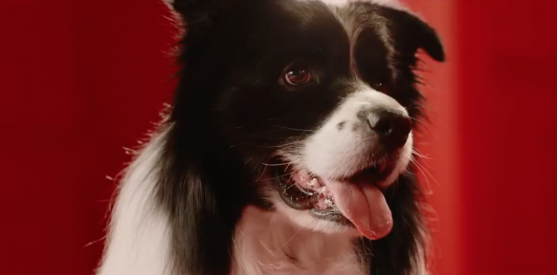 Sync: Schmackos TVC
