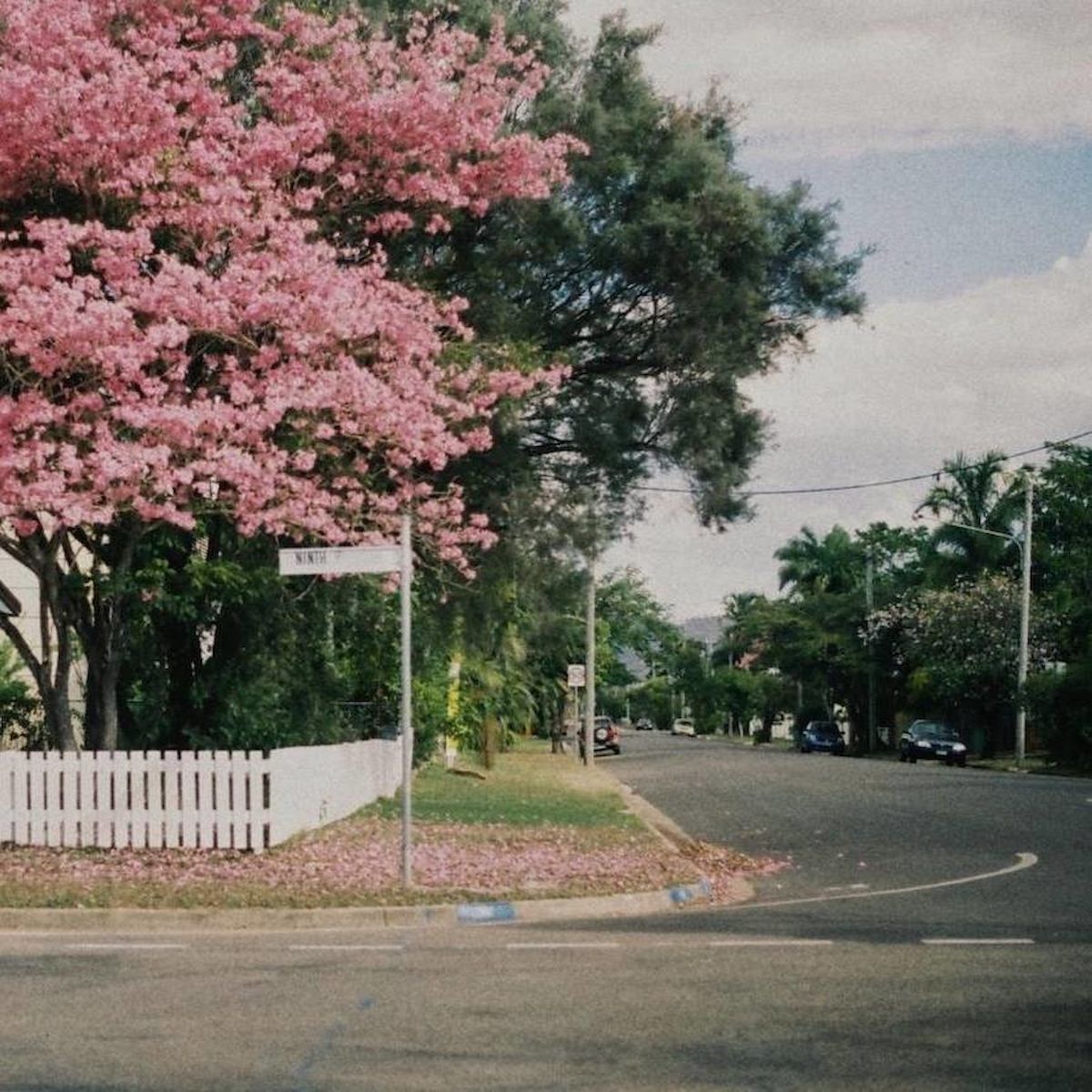 Spunk Records 20th Anniversary