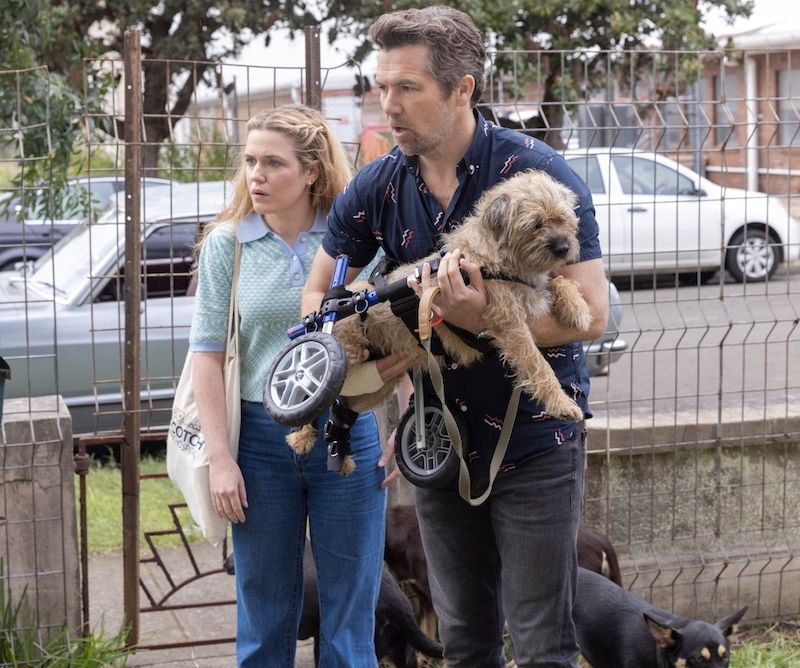 Sync | Colin From Accounts Season 2